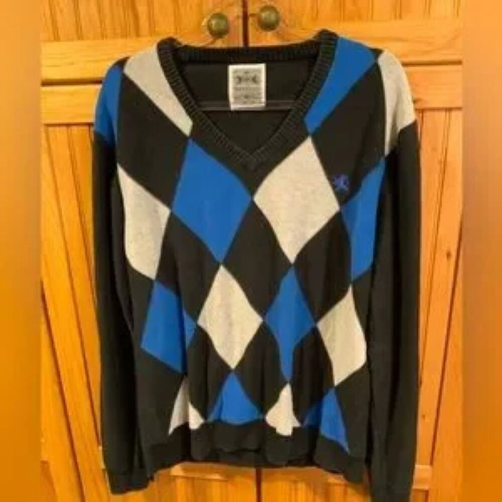 EXPRESS V-neck sweater